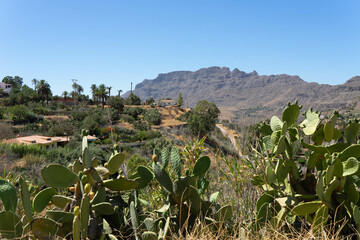 Isla de Gran Canaria