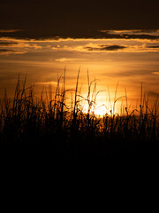 Fototapeta na wymiar Topsail, North Carolina Beach Sunset
