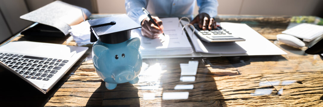 Student Loan. Accounting Teaching Advisor