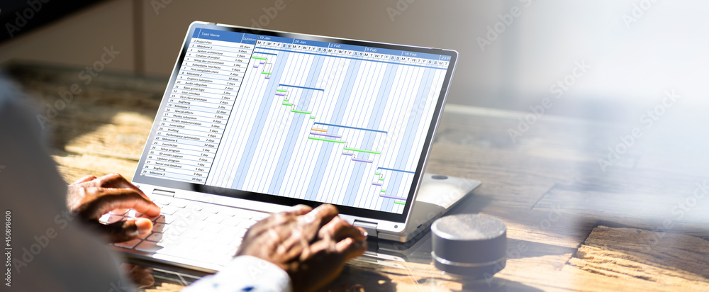 Poster digital gantt project control software