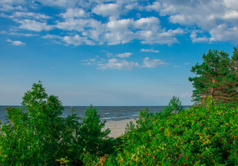 widok z ścieżki rowerowej w Krynicy Morskiej © jak