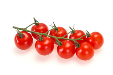 Ripe tomatoes on the branch
