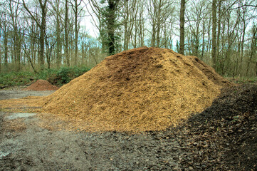 Pile of wood chippings.