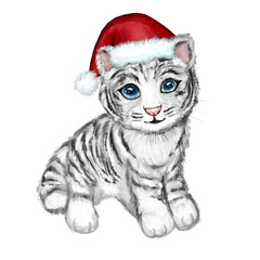 White tiger in red santa hat. Hand drawn white cute little tiger with blue eyes, isolated on white background. Symbol of the 2022 year. Cartoon tiger. Realistic metallic tiger. Winter.