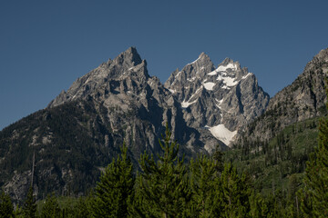 Looking Up at Snow Capped Grand Teton