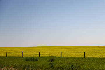 Farms and equipment along the highways in rural Alberta