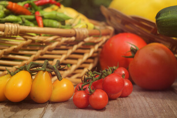 Organic Summer Vegetable Harvest on Table Outdoors on Farm