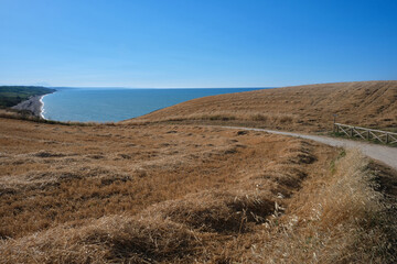 Hilly trail leading to Punta Adecri on the Abruzzo Adriatic coast