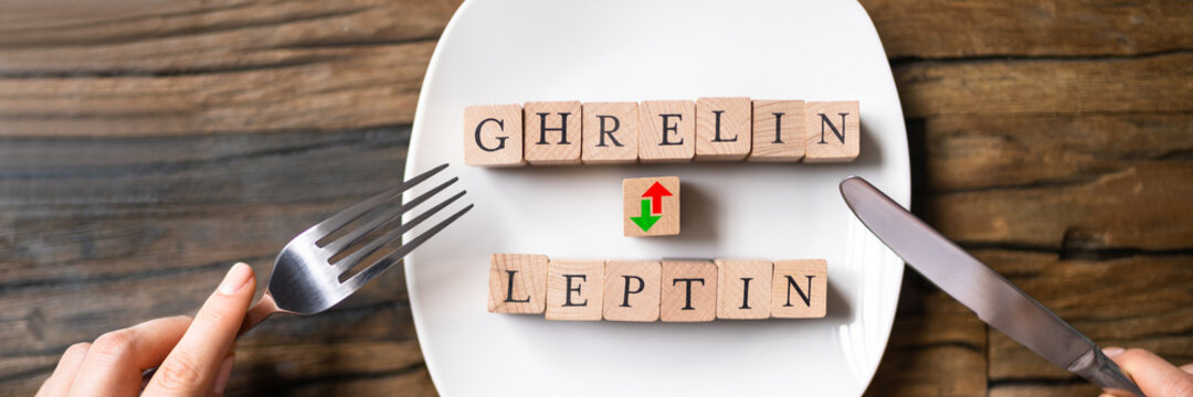 Ghrelin And Leptin Hunger Hormons. Diet