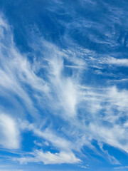 blue sky with clouds