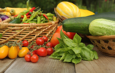 Organic Summer Vegetable Harvest on Table Outdoors on Farm
