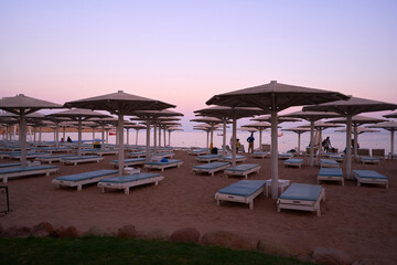 Umbrellas and sun loungers at luxury tropical resort on coral beach in the Red Sea. Resort complex on Red Sea. Typical resort beach.