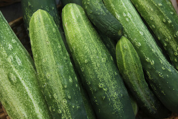 Cucumbers for Sale at Farmers Market Close up