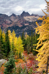Fall in the Cascades