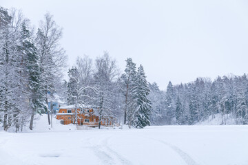 Houses by the frozen lake. Snowy winter day.