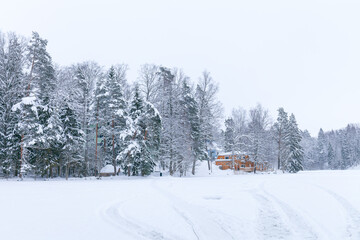 Houses by the frozen lake. Snowy winter day.