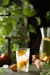 Refreshing cocktail or ice tea with fresh peaches and mint leaves in a front of wooden window with green summer plants.Detox,healthy drink.