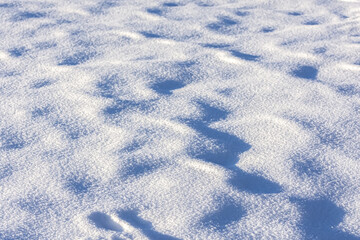 Fototapeta na wymiar Snow waves on the frozen lake
