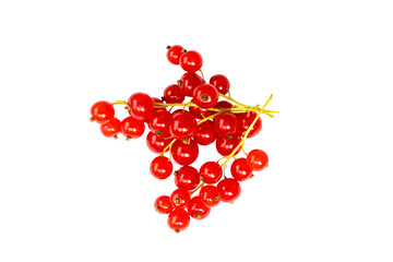Red currant berries isolated on a white background