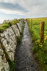 Fototapeta na wymiar Trail in Cliffs of Moher in Beautiful Ireland