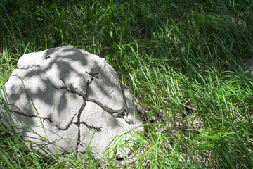 A view of the stone in the Croatian national Park