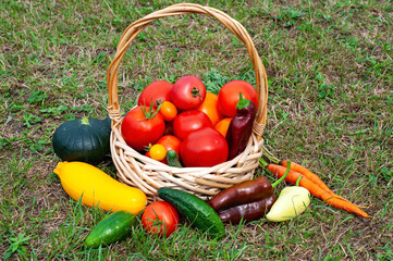 Fresh vegetables in a basket.