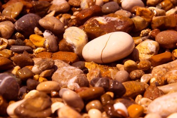 sea ​​stones wet beautiful background