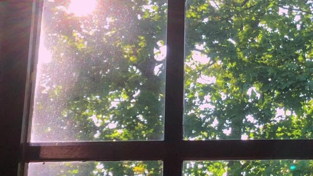 Sun shining in trough a glass window in the summertime. Greenery and trees outside in the background. Art design concept. Slow motion footage.