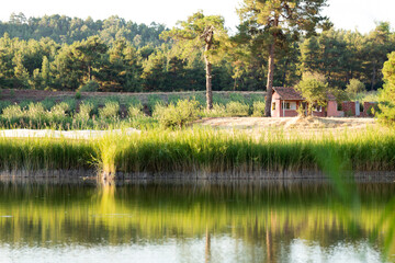 Summer Hidden Lake view in Honaz district of Denizli
