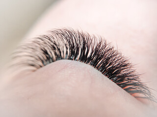 lash extensions in beauty salon macro eye