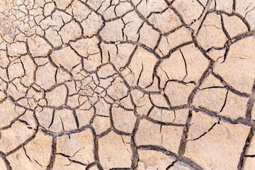 Dry cracked ground texture
