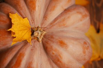 Pumpkin with yellow autumn leaves fallen from the trees. Fall background to use. The concept of Thanksgiving or Halloween.
