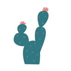 Vector illustration of a cactus. Natural hand-drawn desert plants. 