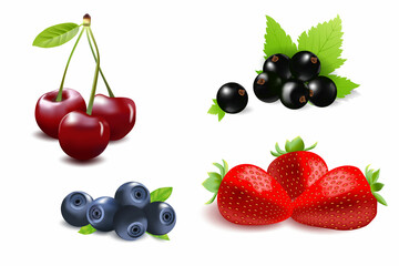 a set of berries strawberry blueberry cherry black currant