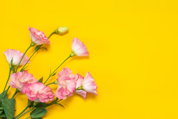 Roses on a yellow background. Summer concept. Free space for your text