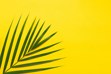 Fototapeta premium Top view of green tropical palm leaves on yellow background. Summer concept with palm leaves. Vacation, holiday, travel, sun background