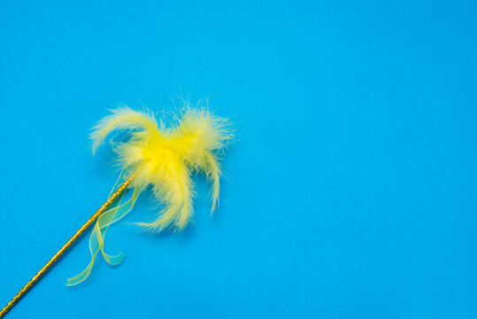 Yellow feather on a blue background. Summer concept. Free space for your text