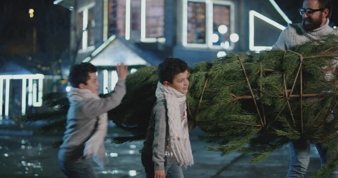 4K Dolly or gimbal shot of Two cute little twin boys , brothers helping father carrying cut Christmas tree . Sons helping father to take christmas tree and going home . Preparation of celebration . 