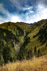 landscape in the mountains