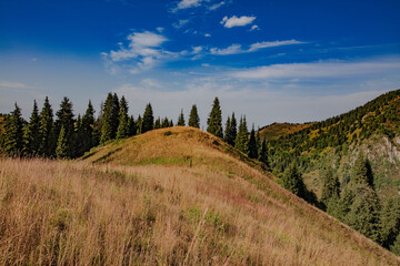 landscape in the mountains