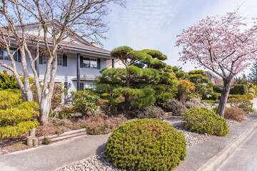 Houses in suburb with Spring Blossom in the north America. Luxury houses with nice white and pink coloured landscape.