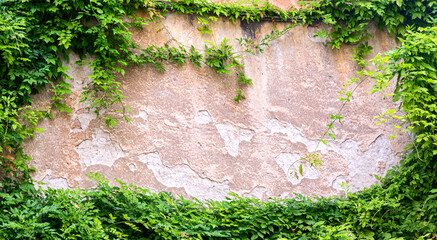 Architecture design mockup. Green leaves on a wall for background with free space.