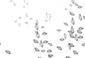 Light Black vector sketch backdrop.