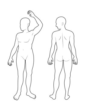 human body outline front and back vector illustration man