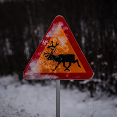 Roadsign, beware of the raindeers