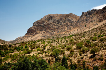 Rocky Mountains with oak trees at noon, A panoramic view of mountains, leading by Longs Peak, Rocky Mountain marvdasht, shiraz, Iran