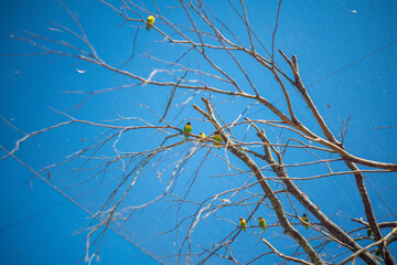 ニュージーランドのオークランドの観光名所を観光している風景 Scenery of sightseeing in Auckland, New Zealand.