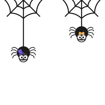 Halloween spiders on white and spider web vector illustration