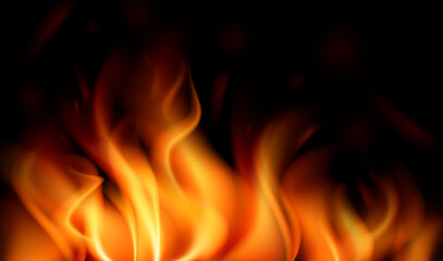 Fototapeta premium Realistic fire. Flames, bonfire on black background