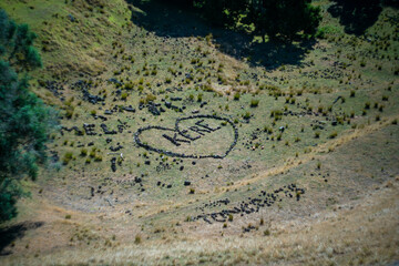ニュージーランドのオークランドの観光名所を観光している風景 Scenery of sightseeing in Auckland, New Zealand.